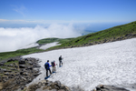 山