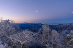 山