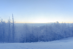 山
