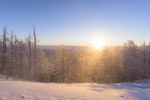 山