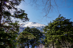 山