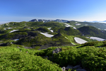 山