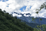 山