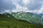 山