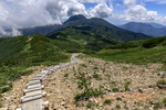 山