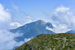山