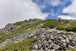 山