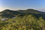 山