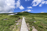 山