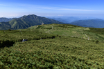 山