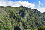山