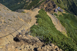 山