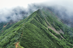 山