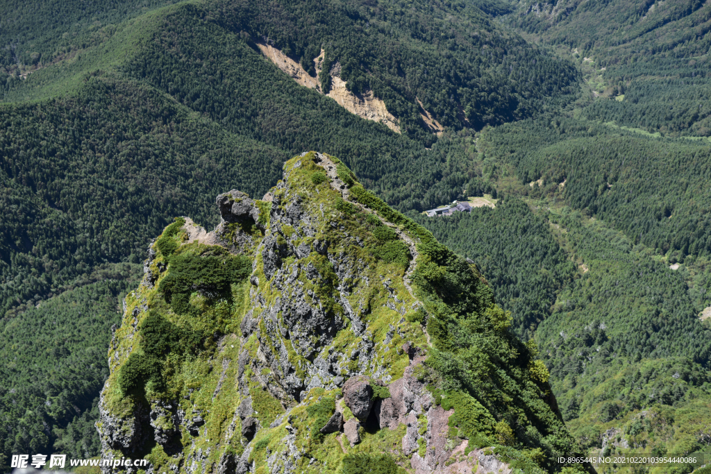 山