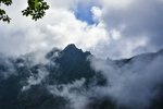 山