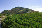 山