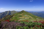 山
