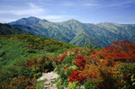 山