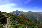 山