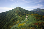 山
