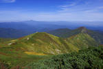 山