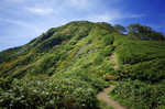 山