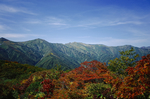 山