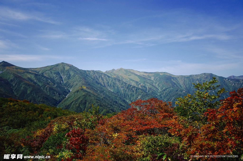 山