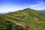山