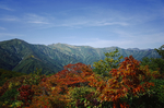 山