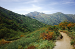 山