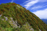 山