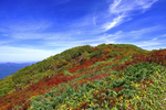 山