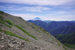 山