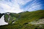 山