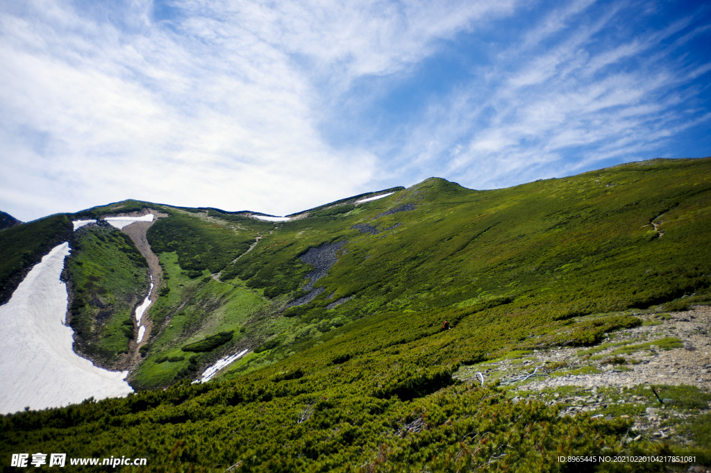 山