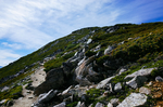 山