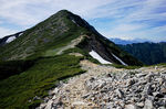 山