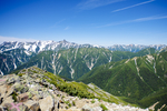 山