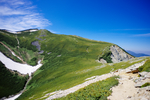 山