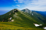 山