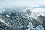 山