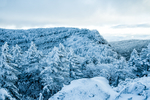 山