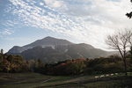 山
