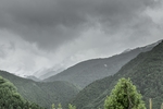 山
