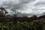 山