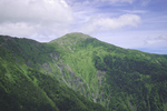 山