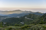 山