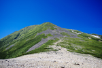 山