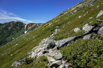 山